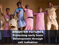 Brighter futures: protecting early brain development through salt iodization